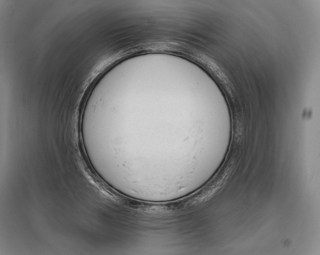 X0000096630986200802261200