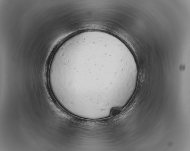 X0000096630987200802261200
