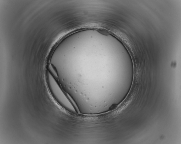 X0000096630989200802261200
