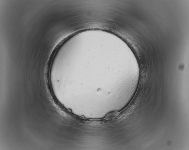X0000096630991200802261200