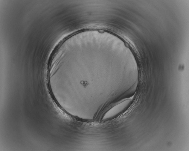 X0000096630992200802261200