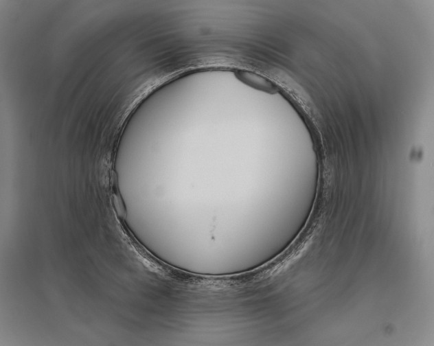 X0000096630993200802261200