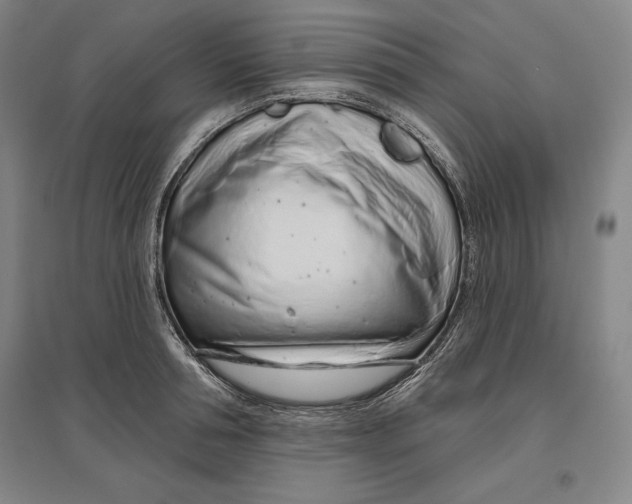 X0000096630994200802261200