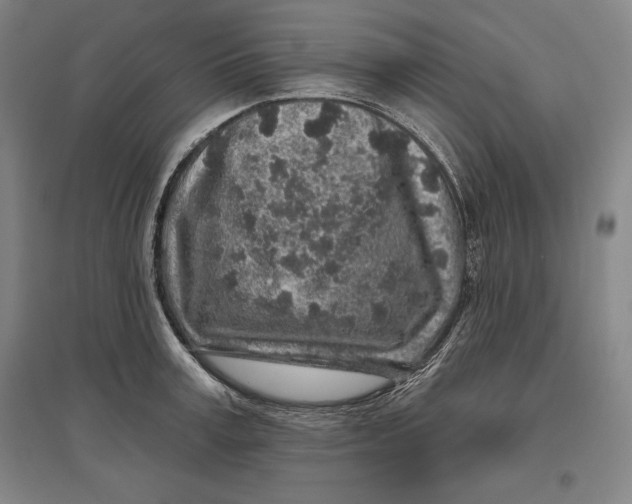 X0000096630995200802261200