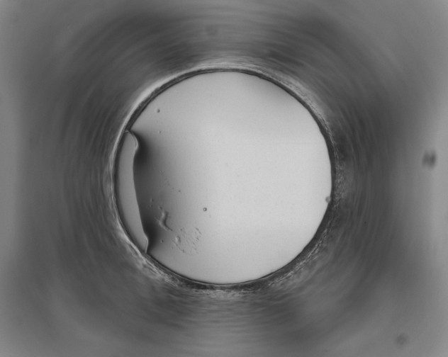 X0000096630996200802261200