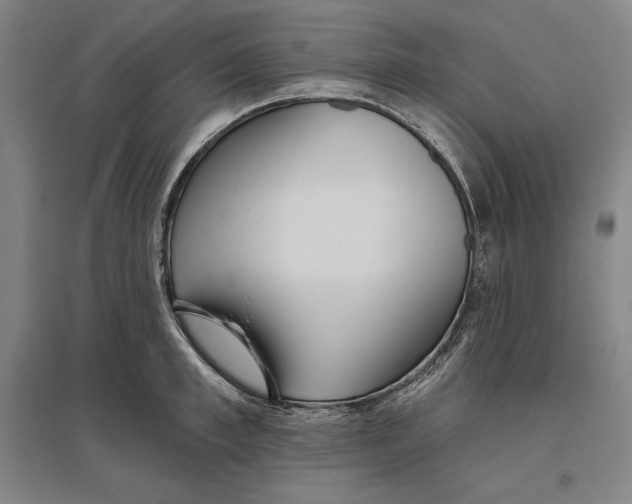X0000096630997200802261200