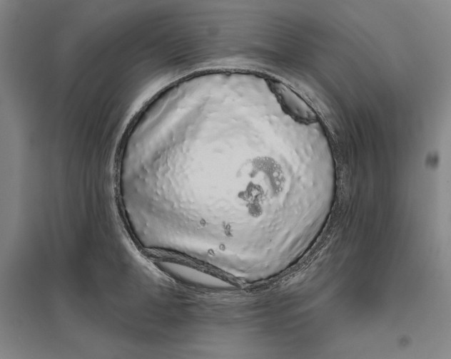 X0000096630998200802261200