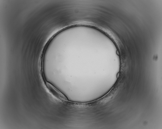 X0000096630999200802261200
