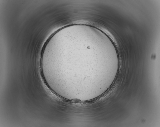 X0000096631000200802261200