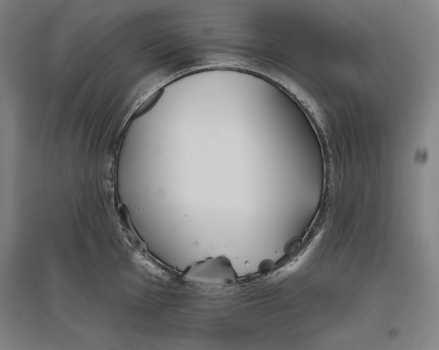 X0000096631001200802261200