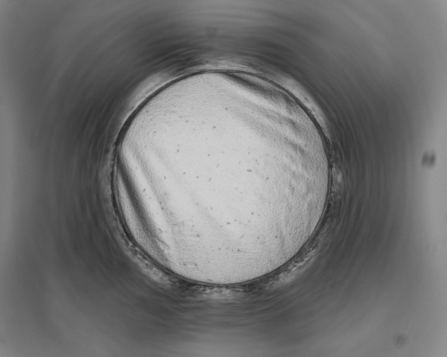 X0000096631002200802261200