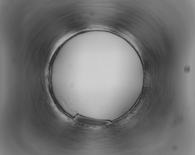 X0000096631003200802261200