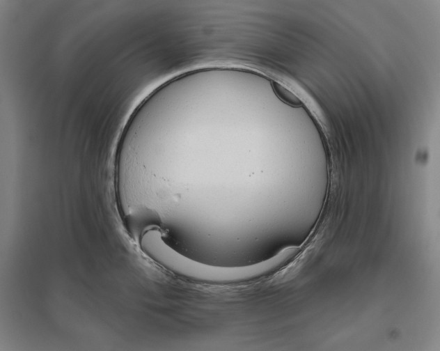 X0000096631004200802261200
