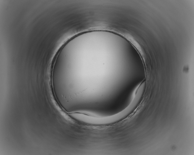 X0000096631005200802261200