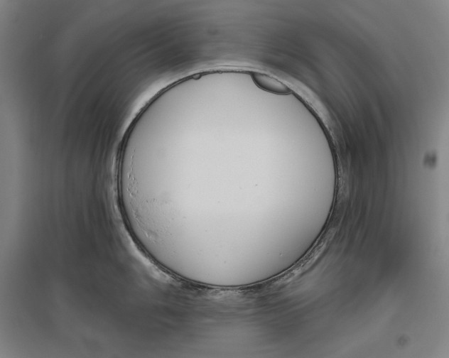 X0000096631006200802261200