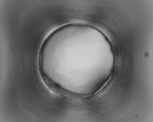 X0000096631007200802261200