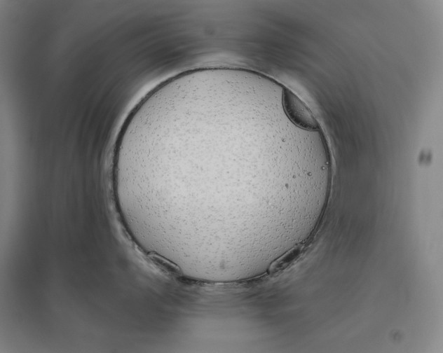 X0000096631008200802261200