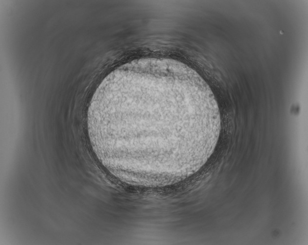 X0000096631009200802261159