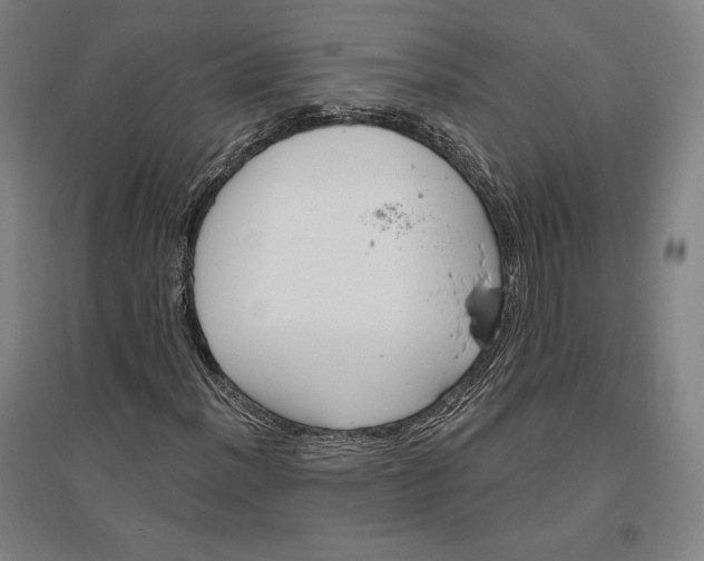 X0000096631012200802261159