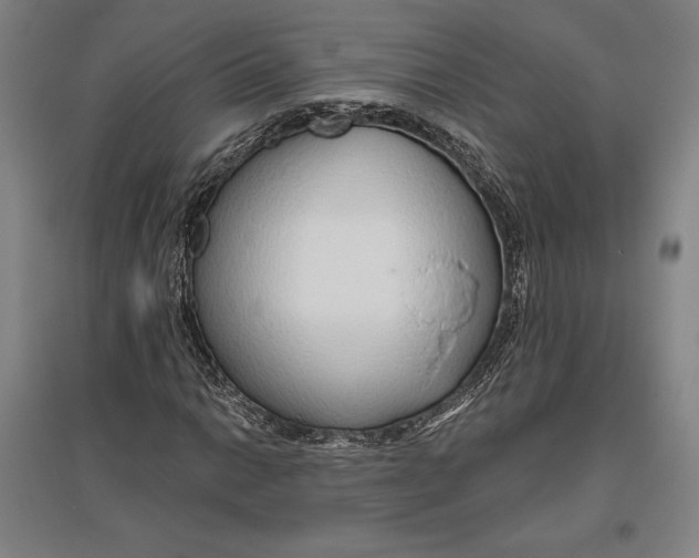 X0000096631014200802261159