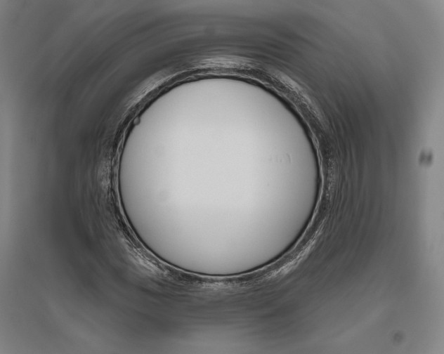X0000096631017200802261159