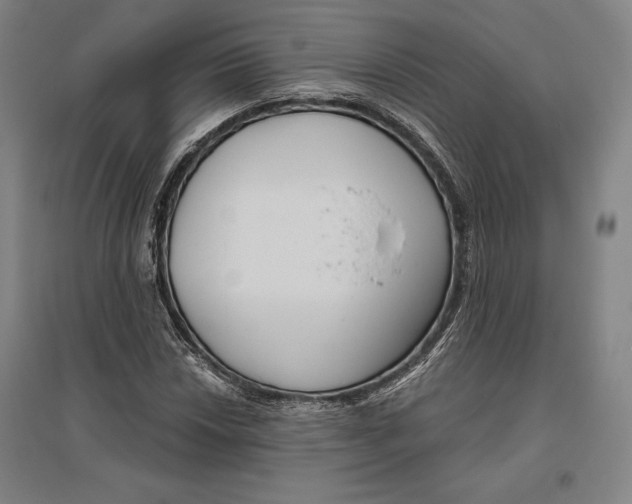 X0000096631018200802261159