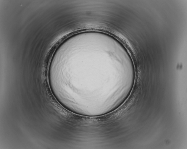 X0000096631019200802261159