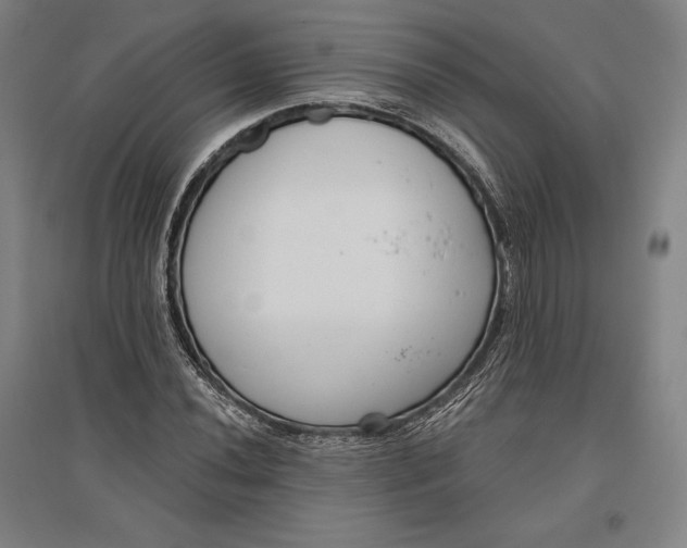 X0000096631020200802261159