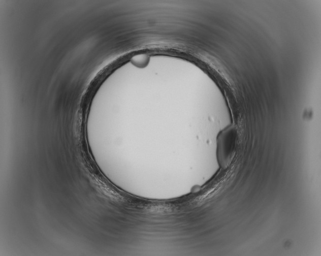X0000096631021200802261159
