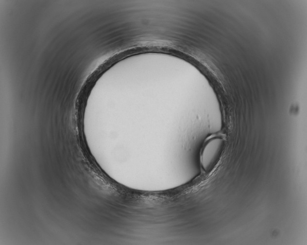 X0000096631022200802261159