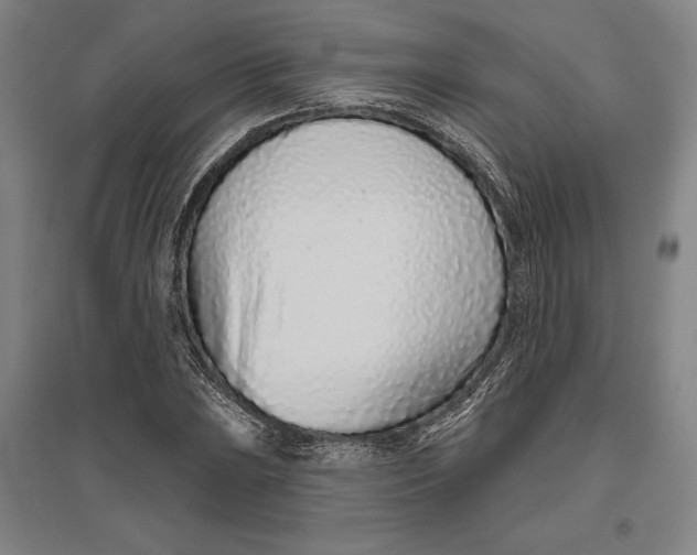 X0000096631023200802261159