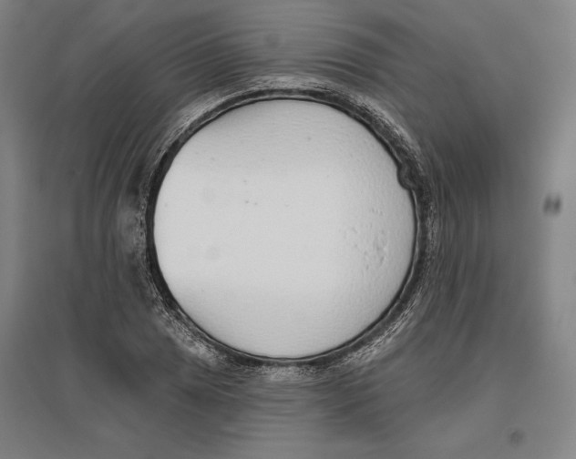 X0000096631025200802261159