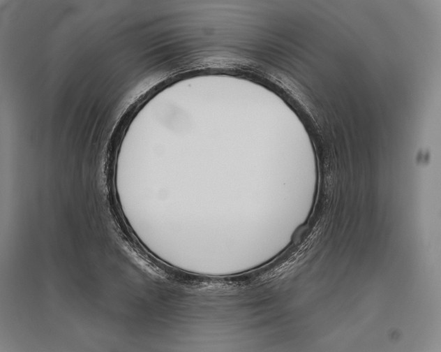 X0000096631026200802261159