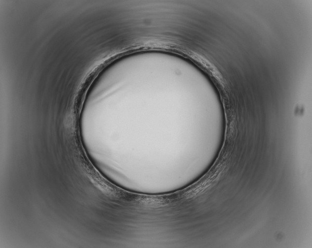 X0000096631027200802261159