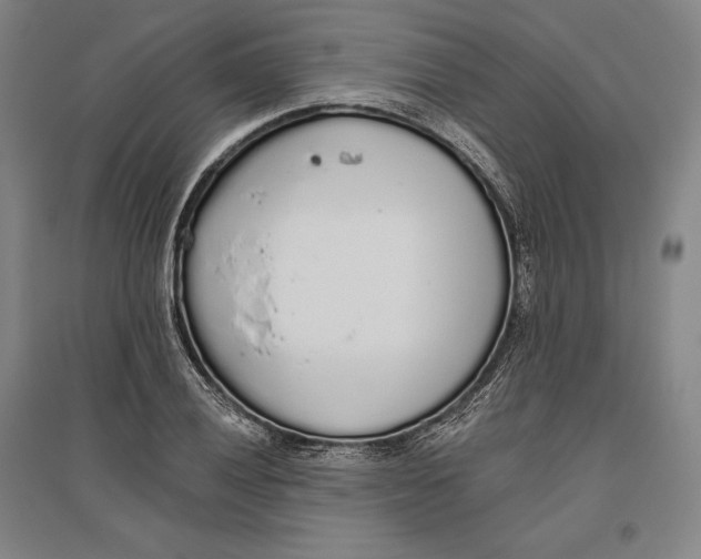 X0000096631028200802261159