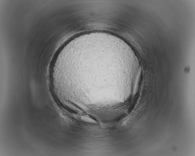 X0000096631031200802261159