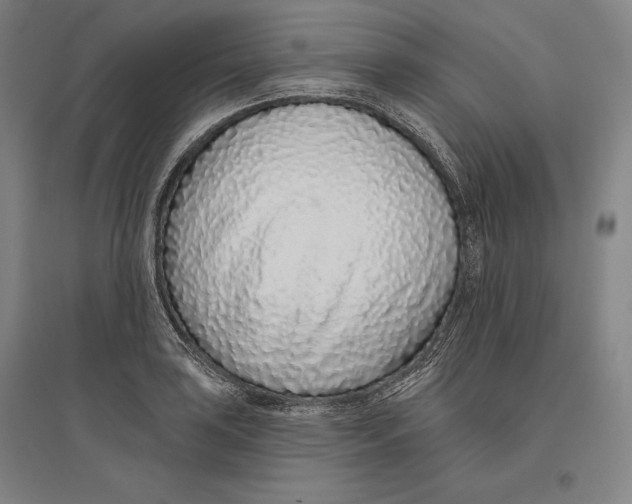 X0000096631035200802261159