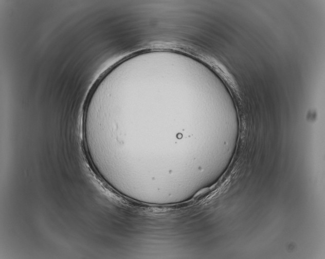 X0000096631036200802261200
