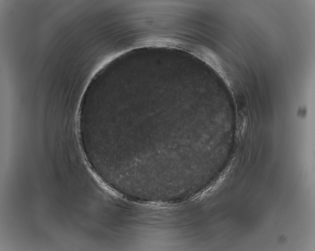 X0000096631037200802261200