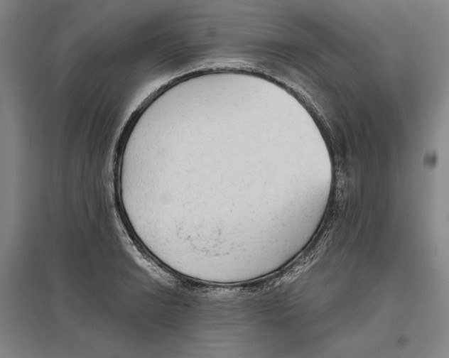 X0000096631038200802261200