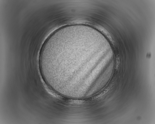 X0000096631039200802261200