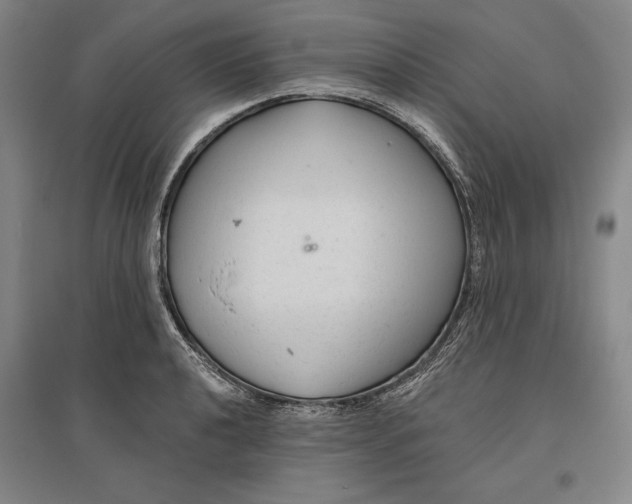 X0000096631040200802261200