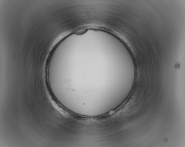 X0000096631042200802261200