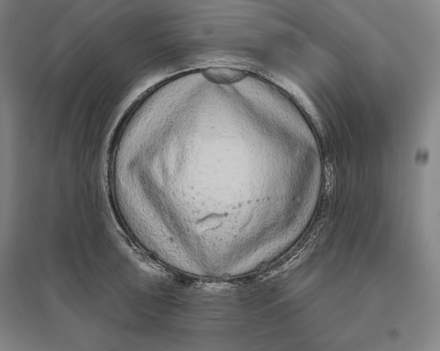 X0000096631043200802261200
