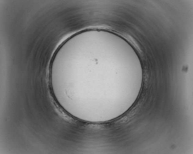 X0000096631044200802261200