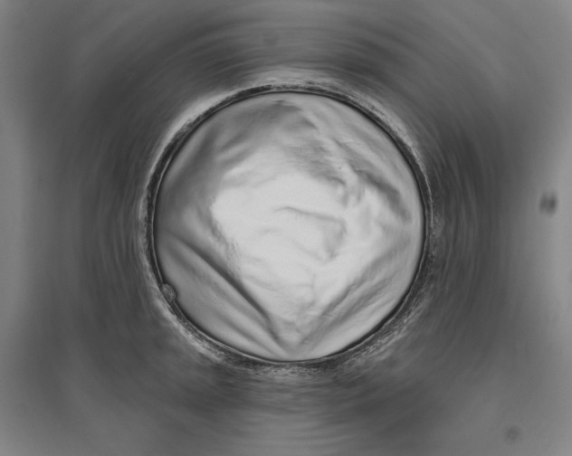X0000096631045200802261200