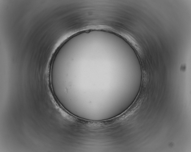 X0000096631046200802261200