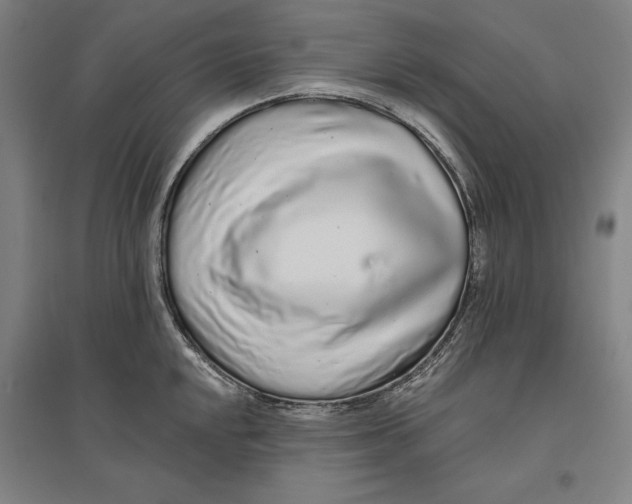 X0000096631048200802261200