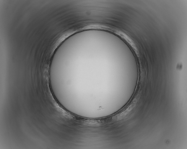 X0000096631049200802261200