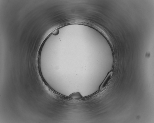 X0000096631050200802261200